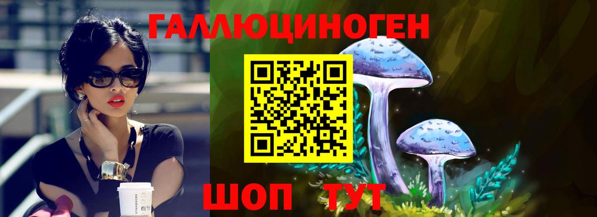 Псилоцибиновые грибы GOLDEN TEACHER  что такое наркотик  Чехов  Вход с VPN 